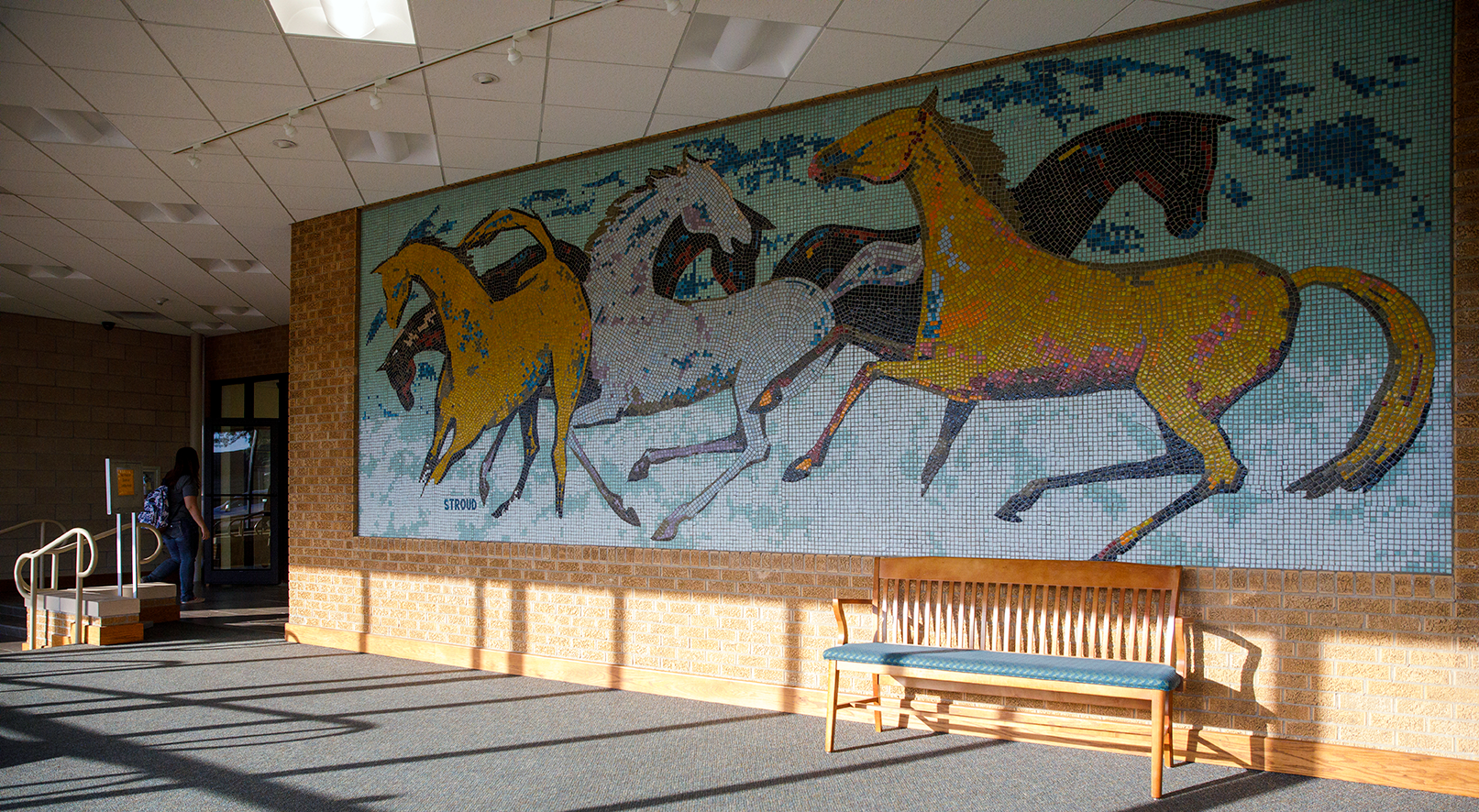 Wild Mustangs SPC Levelland Campus